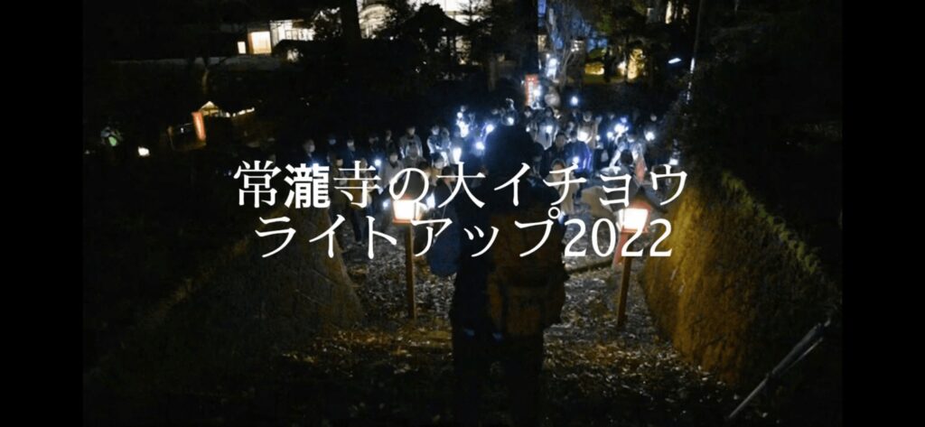 常瀧寺の大イチョウライトアップ2022